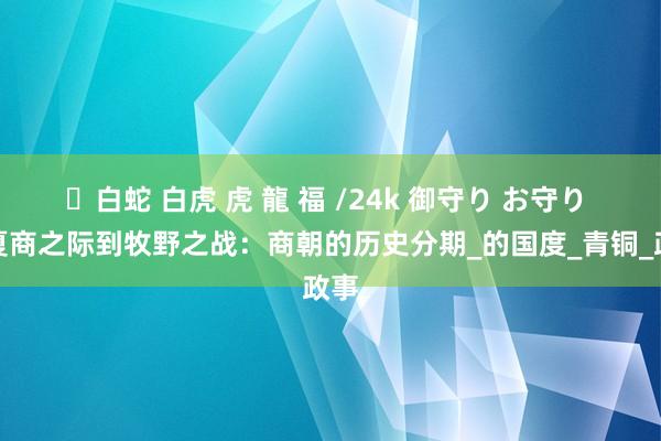 ✨白蛇 白虎 虎 龍 福 /24k 御守り お守り 从夏商之际到牧野之战：商朝的历史分期_的国度_青铜_政事