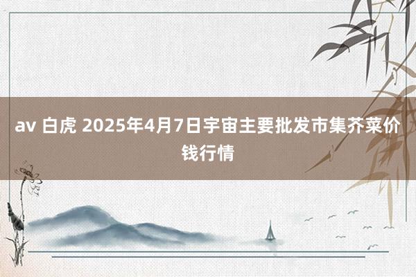 av 白虎 2025年4月7日宇宙主要批发市集芥菜价钱行情