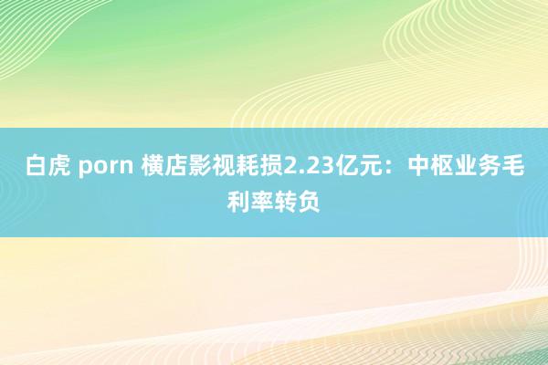 白虎 porn 横店影视耗损2.23亿元：中枢业务毛利率转负