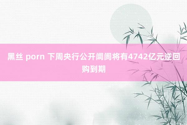 黑丝 porn 下周央行公开阛阓将有4742亿元逆回购到期