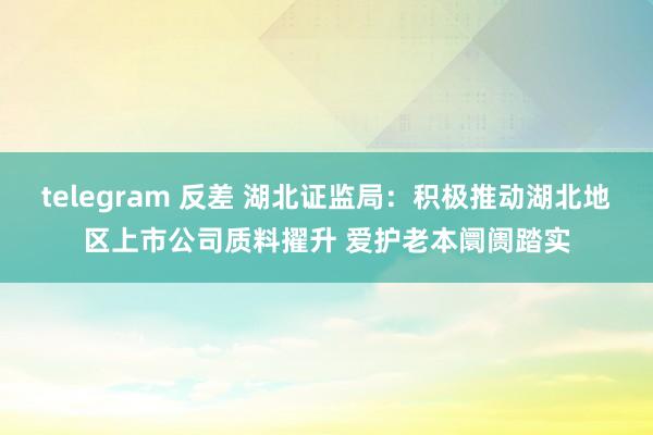 telegram 反差 湖北证监局：积极推动湖北地区上市公司质料擢升 爱护老本阛阓踏实