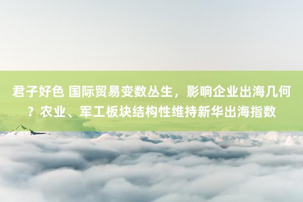 君子好色 国际贸易变数丛生，影响企业出海几何？农业、军工板块结构性维持新华出海指数