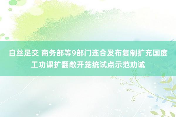 白丝足交 商务部等9部门连合发布复制扩充国度工功课扩翻敞开笼统试点示范劝诫