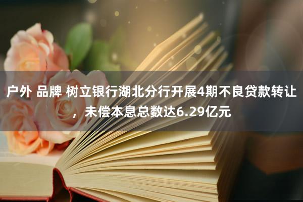 户外 品牌 树立银行湖北分行开展4期不良贷款转让，未偿本息总数达6.29亿元
