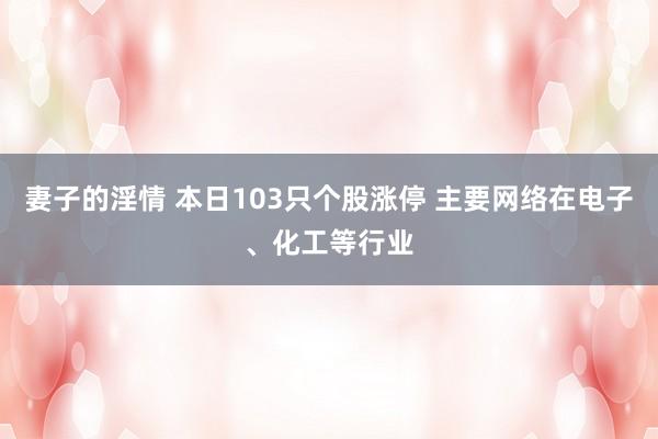 妻子的淫情 本日103只个股涨停 主要网络在电子、化工等行业