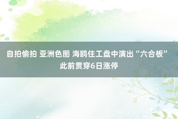 自拍偷拍 亚洲色图 海鸥住工盘中演出“六合板” 此前贯穿6日涨停