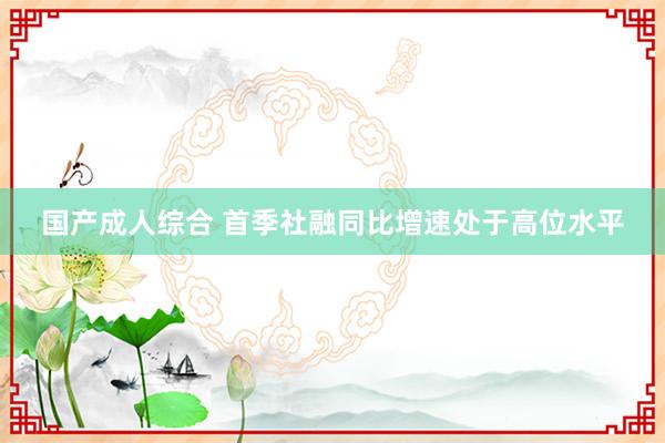 国产成人综合 首季社融同比增速处于高位水平