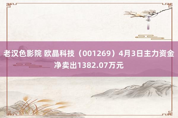 老汉色影院 欧晶科技（001269）4月3日主力资金净卖出1382.07万元