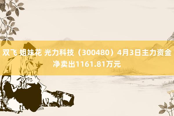 双飞 姐妹花 光力科技（300480）4月3日主力资金净卖出1161.81万元