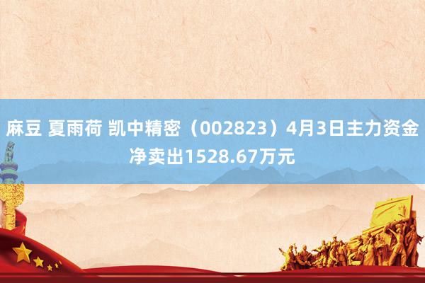麻豆 夏雨荷 凯中精密（002823）4月3日主力资金净卖出1528.67万元