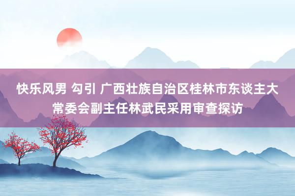 快乐风男 勾引 广西壮族自治区桂林市东谈主大常委会副主任林武民采用审查探访