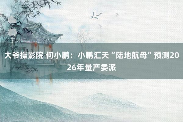 大爷操影院 何小鹏：小鹏汇天“陆地航母”预测2026年量产委派