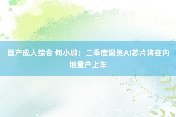 国产成人综合 何小鹏：二季度图灵AI芯片将在内地量产上车