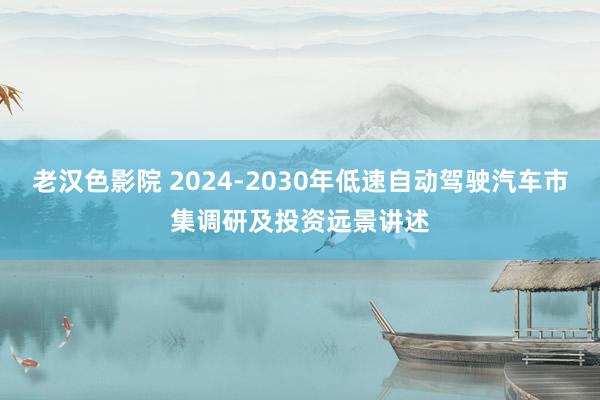 老汉色影院 2024-2030年低速自动驾驶汽车市集调研及投资远景讲述
