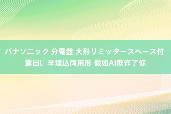 パナソニック 分電盤 大形リミッタースペース付 露出・半埋込両用形 假如AI欺诈了你