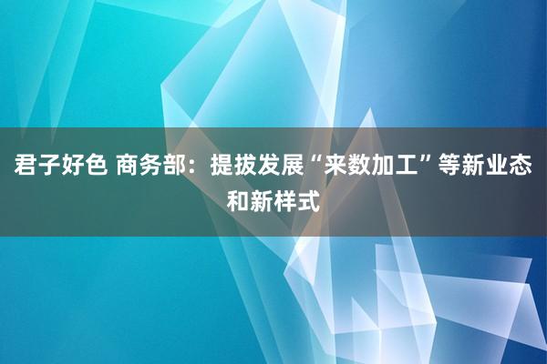 君子好色 商务部：提拔发展“来数加工”等新业态和新样式