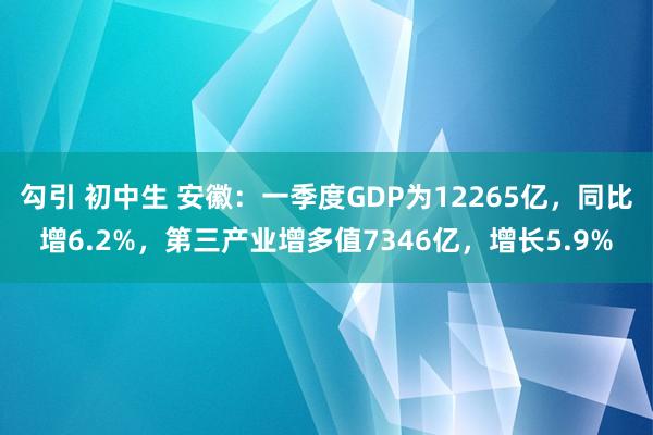 勾引 初中生 安徽：一季度GDP为12265亿，同比增6.2%，第三产业增多值7346亿，增长5.9%