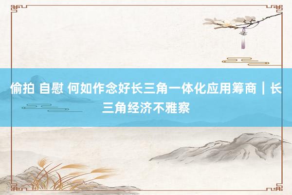 偷拍 自慰 何如作念好长三角一体化应用筹商︱长三角经济不雅察