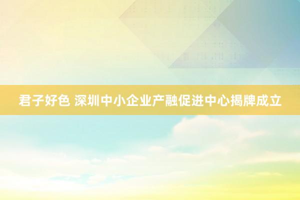 君子好色 深圳中小企业产融促进中心揭牌成立