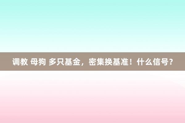 调教 母狗 多只基金，密集换基准！什么信号？