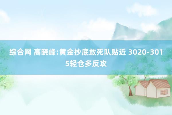 综合网 高晓峰:黄金抄底敢死队贴近 3020-3015轻仓多反攻