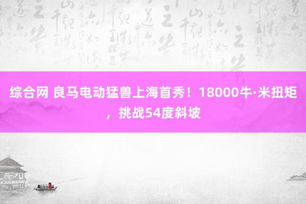 综合网 良马电动猛兽上海首秀！18000牛·米扭矩，挑战54度斜坡