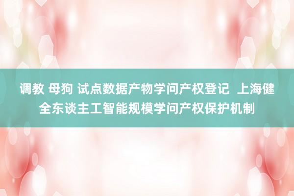 调教 母狗 试点数据产物学问产权登记  上海健全东谈主工智能规模学问产权保护机制