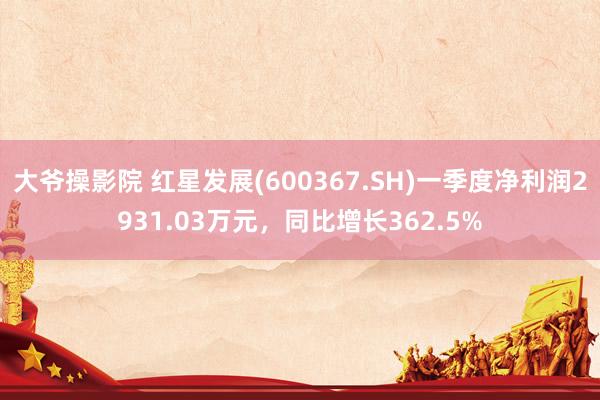 大爷操影院 红星发展(600367.SH)一季度净利润2931.03万元，同比增长362.5%